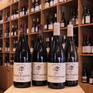 Corton-Charlemagne Grand Cru - Domaine Pavelot - luc-lise-pavelot