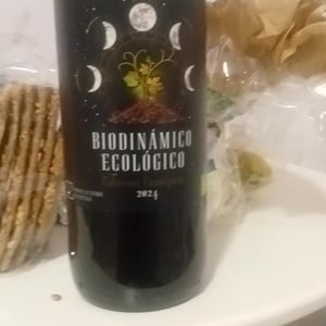 Cosmologico - Bodega Santa Elisa - equipe-corporate-de-gonzales-byass -2024