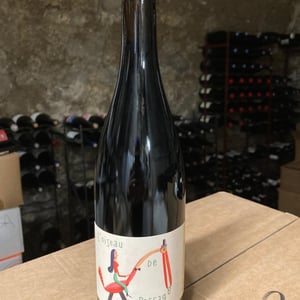Côte de Brouilly L'Ecluse 2023 - L'oiseau De Passage - julien-frappa -2023