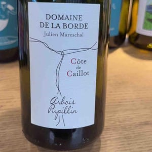 Côte de Caillot - Domaine de la Borde - Julien Mareschal