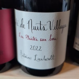 Côte de Nuits-Villages " Aux Vignottes" (Label from 2020) - Antoine Lienhardt - antoine-lienhardt