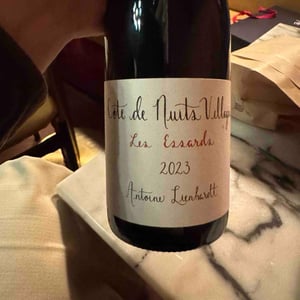 Côte de Nuits-Villages "Les Plantes aux Bois" - Antoine Lienhardt - antoine-lienhardt