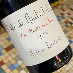 Côte de Nuits-Villages "Les Plantes aux Bois" - Antoine Lienhardt - antoine-lienhardt