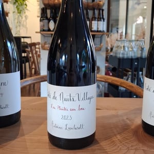 Côte de Nuits-Villages "Les Plantes aux Bois" - Antoine Lienhardt - antoine-lienhardt