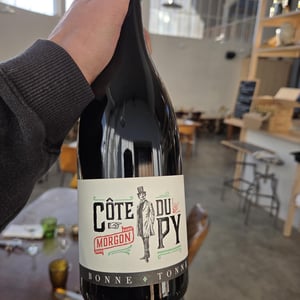 Côte Du Py - Domaine de la Bonne Tonne - thomas-anne-laure-agatensi