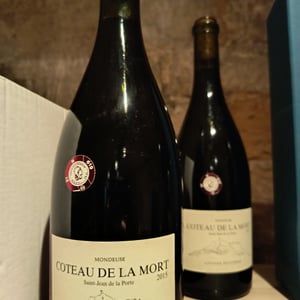 Coteau De La Mort - Uliz - antoine-petitprez