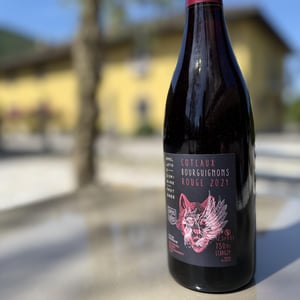 Côteaux Bourguignons - Chapuis & Chapuis - romain-jean-guillaume-chapuis