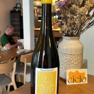 Coteaux Champenois - Thomas De Marne Champagne [TO_INVESTIGATE] - thomas-de-marne -2022