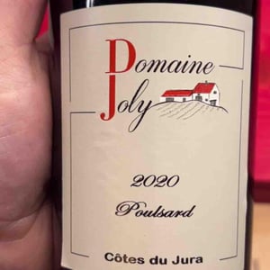 Poulsard - Domaine joly - claude-cedric-joly -2019