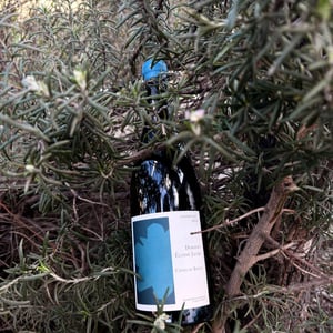 Coudoulet - Elodie Jaume - elodie-jaume -2023