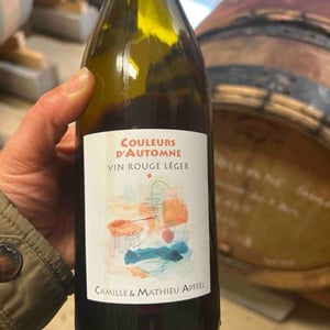 Couleurs D’Automne - Mathieu Apffel - camille-mathieu-apffel