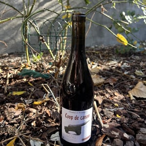 Coup de Canon - Chahut et Prodiges - gregory-leclerc