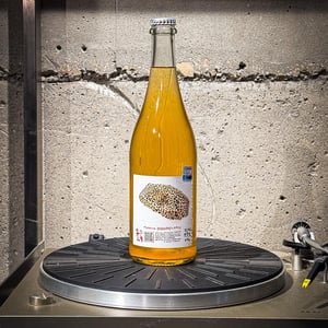 Crazy Crazy - Marto Wines - Weingut Wörner - martin-worner -2023