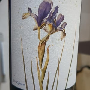 Crete Azzurre - Società Agricola Marta Valpiani - elisa-mazzavillani