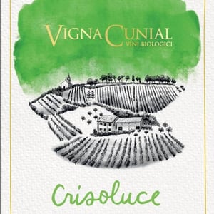 Crisoluce Still - Vigna Cunial - leonardo-cunial -2024