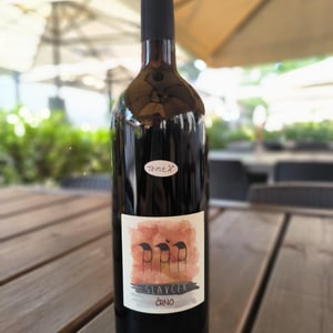 Črno - Slavček - franc-vodopivec