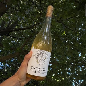 Curtimenta - Espera Wines - rodrigo-martins -2020