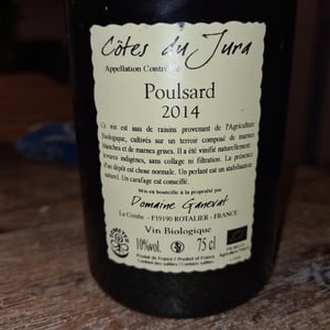 Cuvée de l'Enfant Terrible - Domaine Ganevat - anne-jean-francois-ganevat