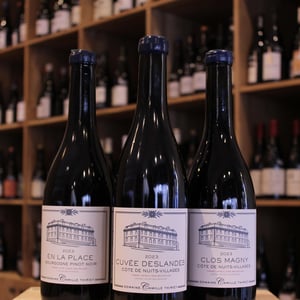CUVÉE DESLANDES COTES DE NUITS VILLAGES - Domaine Camille Thiriet - camille-thiriet -2023