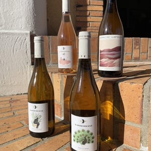 Cuvée Du Clocher - Domaine Tripoz - celine-laurent-tripoz