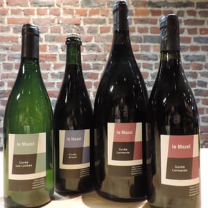 Cuvée Larmande - Le Mazel - gerald-jocelyne-oustric