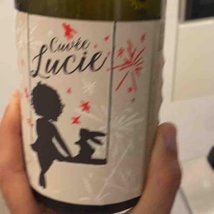 Cuvée Lucie - Larcelet Vincent - Domaine du Petit Bouchon - vincent-larcelet