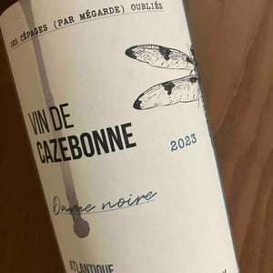 Dame Noire - Château Cazebonne - jean-baptiste-duquesne -2022