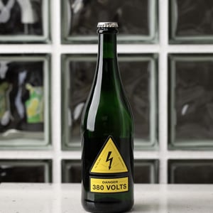 Danger 380 Volts - Milan Nestarec - milan-nestarec