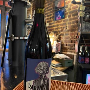 Darwin Vidoc - Roman Des Vignes - roland-et-roman-tournier