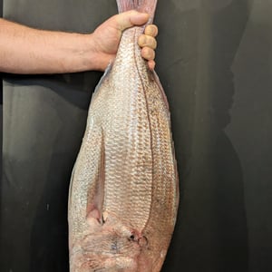 Denti - Le Pebre d’Aï - 912396