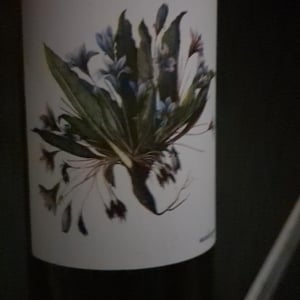 Delyus - Società Agricola Marta Valpiani - elisa-mazzavillani -2023