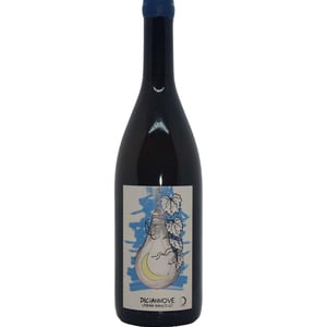 Diciannove - Lumiluna Casa Vinicola - giulio-rinaldi-luca-bigicchia