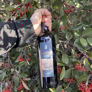 Diplomate - Comte Abbatucci - jean-charles-abbatucci