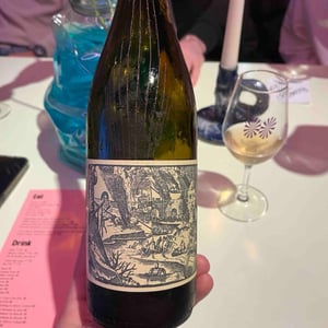 Diszko - Grand Vin de Barnag - bence-szilagyi