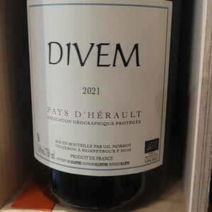 Divem - Divem - gil-morrot