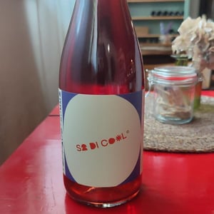 Sa Di Cool - Tommaso Cappa - tommaso-cappa