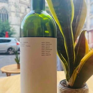 Domaine de trebuchet - Domaine de trebuchet - jg-de-giacinto