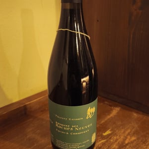 Domaine des Roches Neuves - Domaine des Roches Neuves - thierry-et-louis-germain