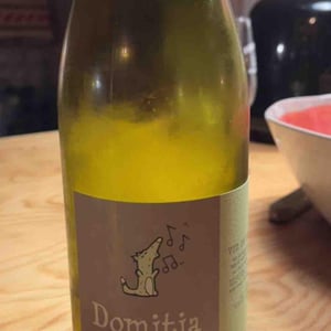 Domitia - Jaja Land - philippe-pibarot -2020