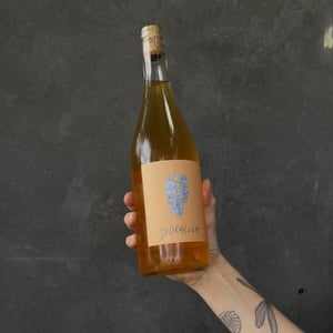 Doralice - Bojo do Luar - antonio-sousa-savio-soares -2023