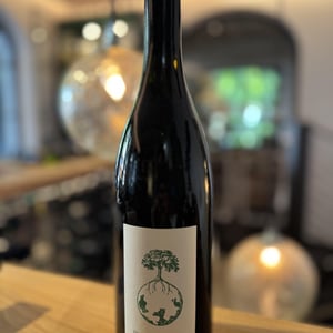 Dreigenerationenwein - Weingut Werlitsch - ewald-brigitte-tscheppe