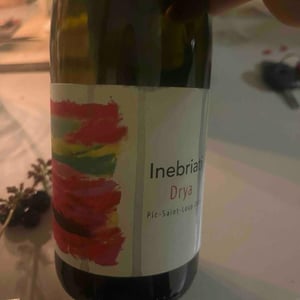 Drya - Domaine Inebriati - victor-beau