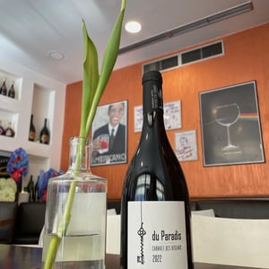 Du Paradis - Cabaret des Oiseaux - jude-lucile-spaety -2020