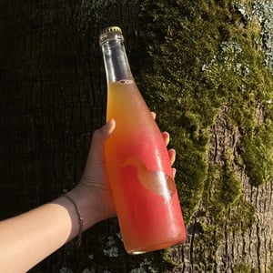 Ducking Pet Nat - João Pato (a.k.a. Duckman) - maria-and-luis-pato