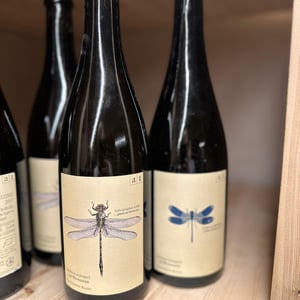 Grüne Libelle - Sauvignon Blanc - Weingut Andreas & Elisabeth Tscheppe - andreas-elisabeth-tscheppe