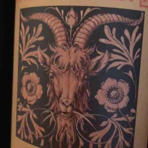 El Carner - Domaine Matassa - tom-lubbe