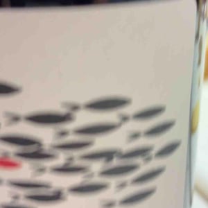 El Rall - Mas Pellisser - oriol-artigas -2019