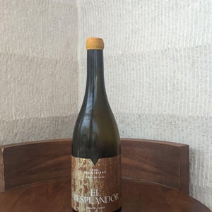 El Resplandor - Tiago Macena & Raul Moreno - tiago-macena-raul-moreno -2021