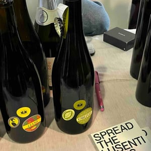 Emiliana - Lusenti - lodovica-lusenti