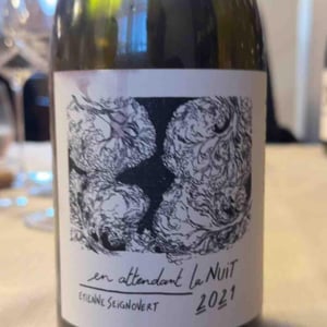 En Attendant La Nuit - Domaine Etienne Seignovert - etienne-seignovert